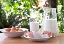 Ayam atau Telur, Mana Lebih Baik untuk Menurunkan Berat Badan?