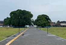 Makna Ringin Kembar di Alun-alun Keraton Surakarta