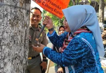 Jelang Estafet Tunas Kelapa, Kwarcab Klaten Aksi Peduli Lingkungan Cabut Paku