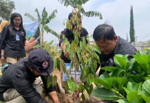 RRI Surakarta Tanam 40 Pohon di Kompleks Pemancar Tawangmangu