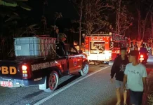 Polres Sragen dan Tim Terpadu Gerak Cepat Padamkan Kebakaran Lahan Jati di Miri