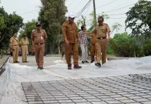 Jalan Kweni-Pantirejo Dibeton Senilai Rp2,9 Miliar, Akses Warga Jadi Mulus