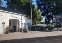 Dari Kuliner hingga Rekreasi, Menyibak Pesona Ponggok Paradise