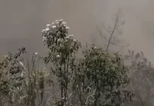 Kebakaran Melanda Lahan Lereng Gunung Merapi di Boyolali, Camat Sebut Ulah Oknum