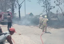 Polisi Bergerak Cepat, Kebakaran Lahan 1,4 H di Mojogedang Berhasil Dipadamkan