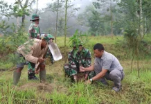 Sambut HUT Ke-81 TNI, Kodim Klaten Tanam 1.000 Pohon di Kemalang
