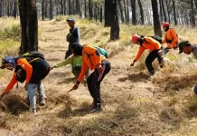 Titik Api Sampai di Gunung Anakan, BPBD Karanganyar Buat Ilaran di Pos 5 Lawu