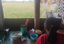 Menikmati Soto Desa di Tepi Sawah, Sensasi Kuliner yang Sederhana