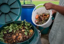 Kelola Sampah Mulai dari Rumah