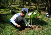 Pertamina Tanam 1.075 Pohon di Bukit Mongkrang
