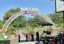 Kebun Raya Indrokilo, Paket Lengkap Wisata Alam dan Edukasi di Boyolali