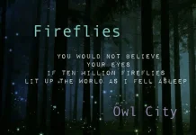 Fireflies, Lagu Viral sebelum Era TikTok