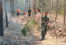 Kebakaran Lahan Tebu di Sumberejo Kerjo Berhasil Dipadamkan Petugas Gabungan