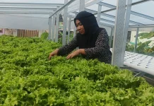 Trisna Murti, Srikandi KWT Mutiara Colomadu Sukses Berdayakan Ibu Rumah Tangga