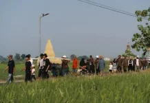 Sanggar Rojolele Delanggu Klaten Lestarikan Tradisi Wiwitan
