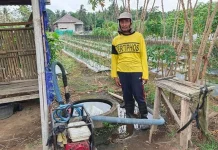 Kemarau Panjang, Petani Sragen Perkuat Pengairan