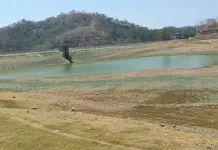 Hari Tani Nasional 2026, Ketika Janji Kedaulatan Pangan Membentur Kekeringan