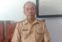 Waduk Krisak Surut, Padang Rumput Jadi Destinasi Dadakan