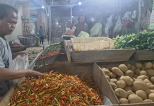 Kemarau Panjang, Harga Cabai Keriting Merah di Solo Naik