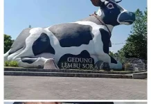 Boyolali Bangun Showroom Susu di Jantung Kota Tampung Hasil Peternak Sapi Perah