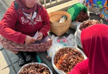 Bentuknya Tak Beraturan, Rasanya Tak Terlupakan: Ampyang Kacang