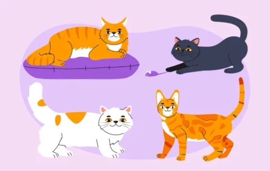 Fakta atau Mitos: Sifat Kucing dan Warna Bulu - RRI.co.id
