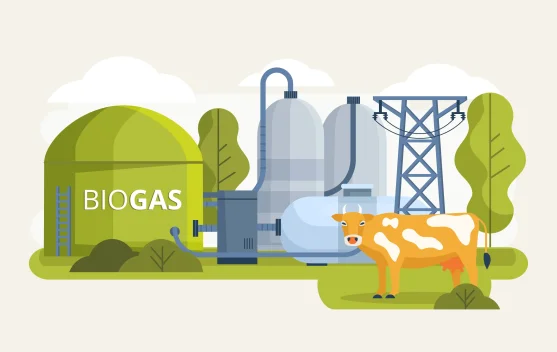 Desa Mundu Kembangkan Biogas dari Kotoran Sapi