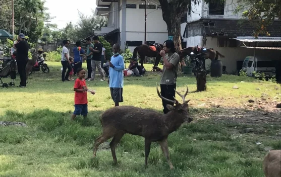 Taman Sriwedari Solo dan Baloga Malang Tawarkan Wisata Keluarga Menarik