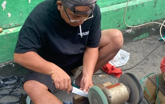 Tajam Sempurna! Panduan Lengkap Mengasah Pisau Dapur dengan Benar