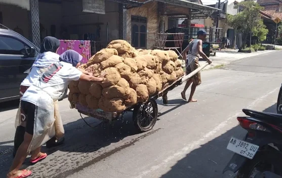 Simalakama, Dilema Cuan dan Limbah Industri Pati Aren Kecamatan Tulung