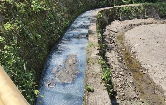 Kala Sawah Petani Klaten Tercemar Limbah Mi Soun, Petani Rindu Air Jernih