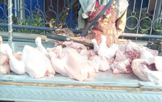 Harga Daging Ayam di Solo Anjlok hingga 30 Ribu Perkilo, Ini Penyebabnya