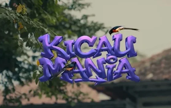 Lirik dan Kunci Gitar Kicau Mania, Ndarboy Genk feat Banditoz Yaow 86