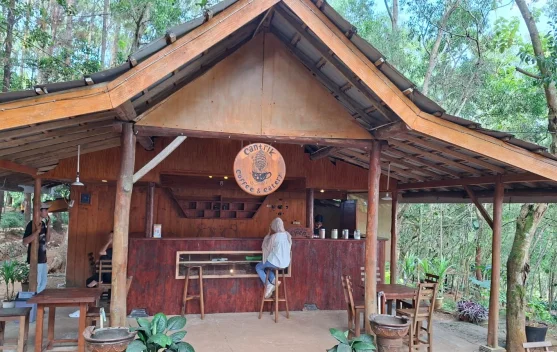 Menyeruput Kopi Hangat di Hutan Pinus Pengger, Wisata Bantul yang Wajib Dicoba!