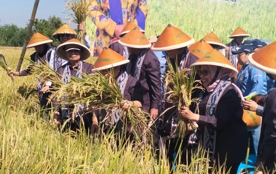 Revitalisasi Koperasi dan Bukan Swasembada Fiksi