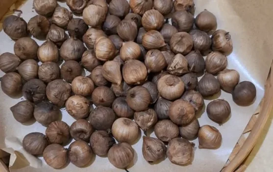 Rahasia Bawang Garlic yang Menyehatkan