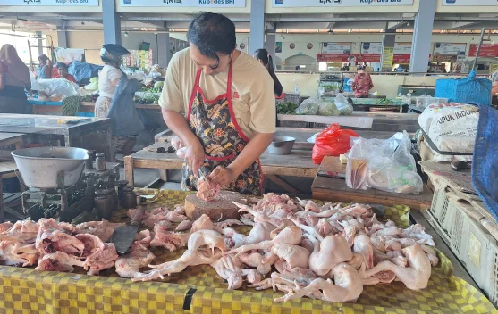 Pasca-Libur Sekolah: Harga Daging dan Telur Ayam di Solo Terus Naik