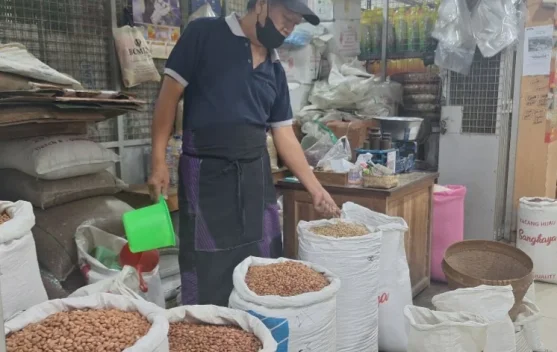 Sempat Turun, Harga Kedelai Impor dan Kacang-kacangan di Kota Solo Kembali Naik