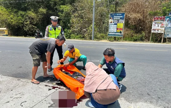 Kecelakaan Maut Truk vs Sepeda Motor di Jalur Sragen-Ngawi, Satu Pengendara Tewas