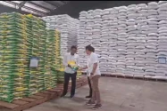 Bulog Surakarta Pastikan Stok Beras 94.000 Ton Aman hingga Enam Bulan
