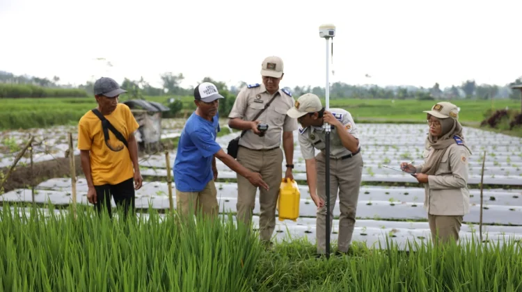 Kementrian ATR/BPN Tetapkan Lahan Sawah yang Dilindungi di 12 Provinsi