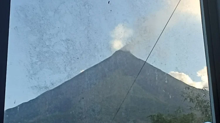 Gunung  Api  dan Manfaat Disektor Pertanian Pala
