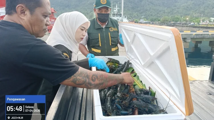 Satuan Pelayanan Pelabuhan Laut Tahuna Konsisten Laksanakan Tugas