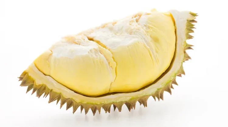 Manfaat Buah Durian bagi Kesehatan Tubuh