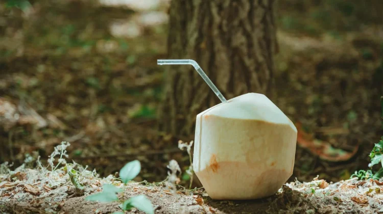 Manfaat Air Kelapa Muda di Pagi Hari