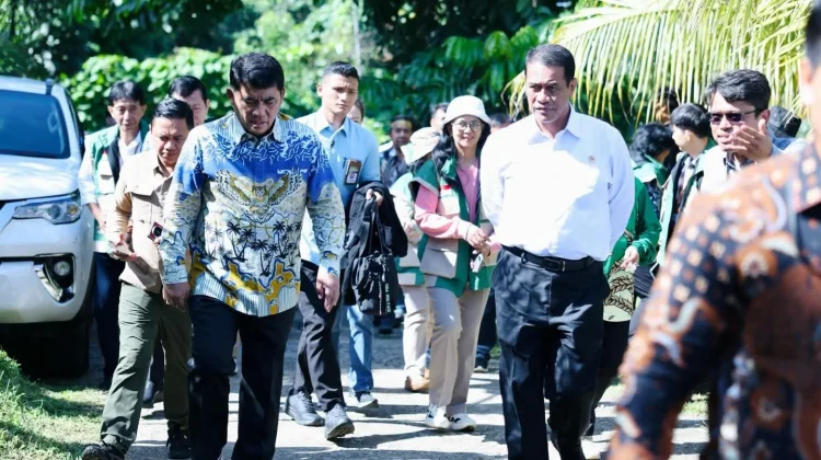 Kementrian Pertanian Setujui Penyaluran Bibit Jagung di Sulut