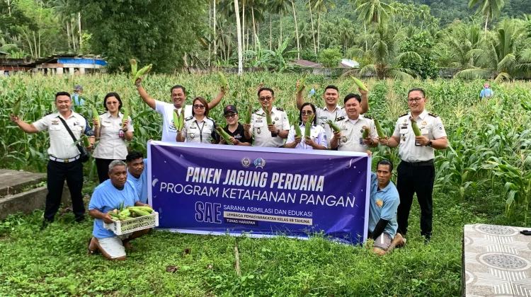 Panen Jagung Perdana, Lapas Tahuna Wujudkan Program Ketahanan Pangan
