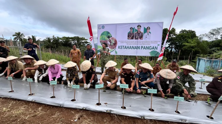 Penanaman Bibit Cabai di Lenganeng Jadi Bagian Kunker Kejati Sulut