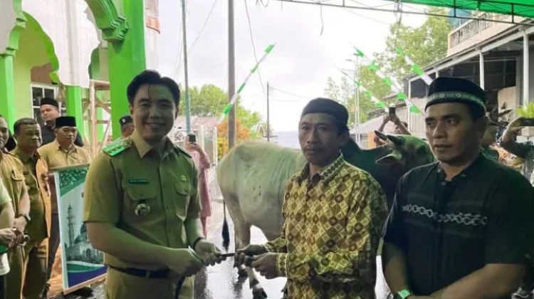 Bupati Sangihe Michael Thungari Serahkan Hewan Kurban Bantuan Presiden-RI dan Pem