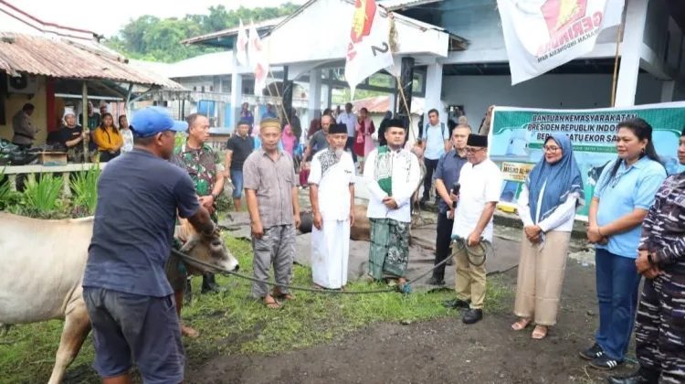 Plt Bupati Sitaro Serahkan Hewan Kurban Bantuan Presiden di Tagulandang